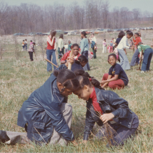 A couple of young girls work together to plant a tree in a field full of other volunteers.