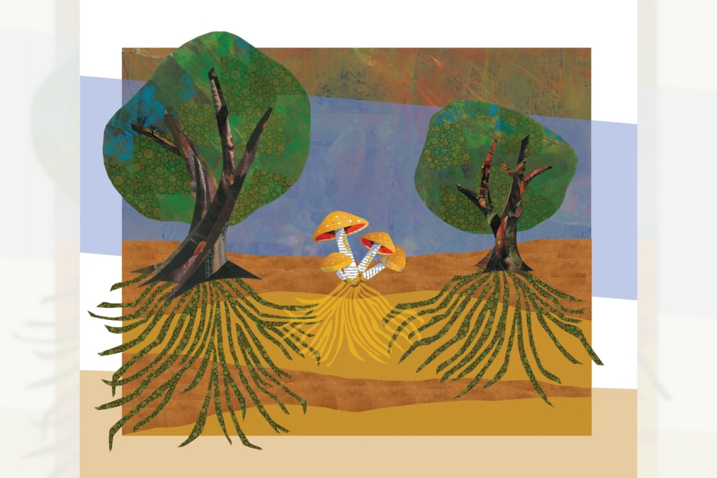 collage of mushrooms flanked by two trees, with roots digging into the ground under the fungi and trees, some of them touching to depict their connection below ground