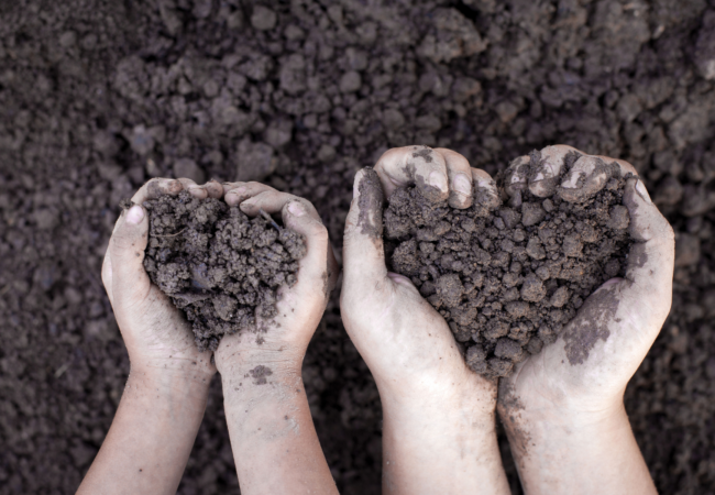 a child's hands and their parent's hands hold handfuls of soil that makes the shape of a heart