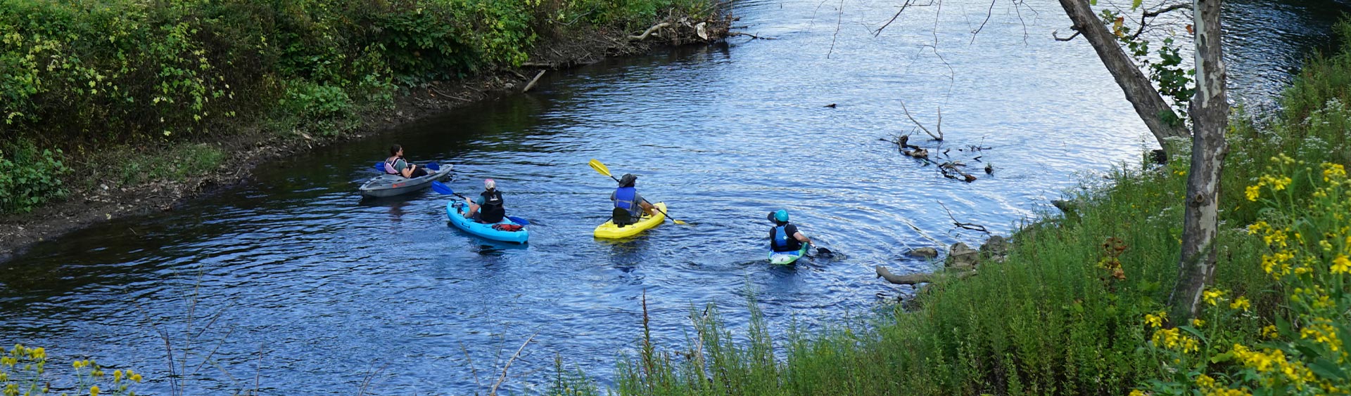 A group of kayakers on a river.