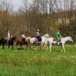 A group of people riding horseback