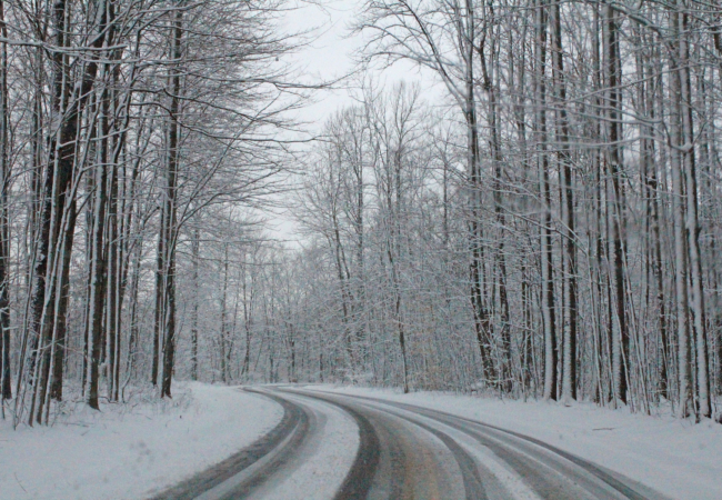 A snowy road surrounded by bare trees