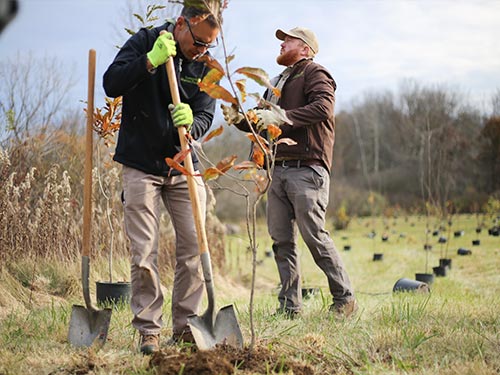 Two men planting trees