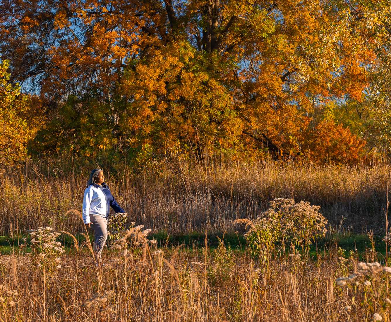 A woman walks along a path surrounded by fall leaves and dried grasses.